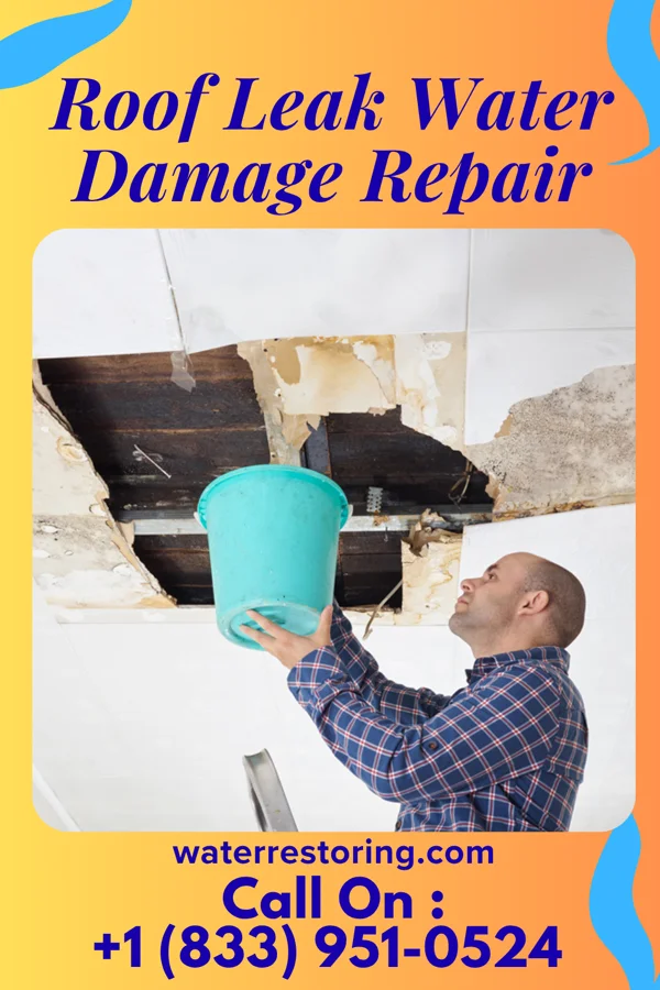 Roof Leak Water Damage Repair in Pittsville, WI