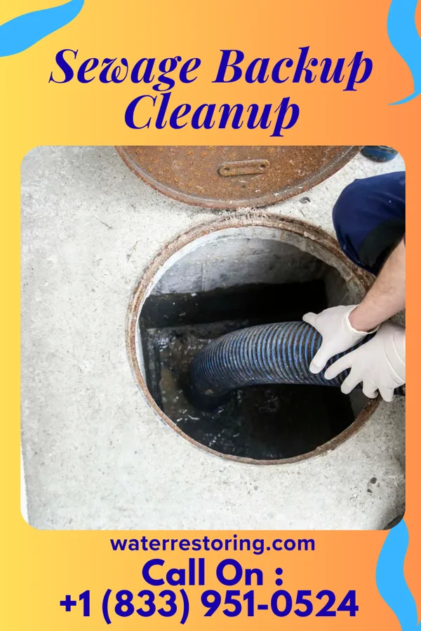 Sewage Backup Cleanup in Pittsville, WI