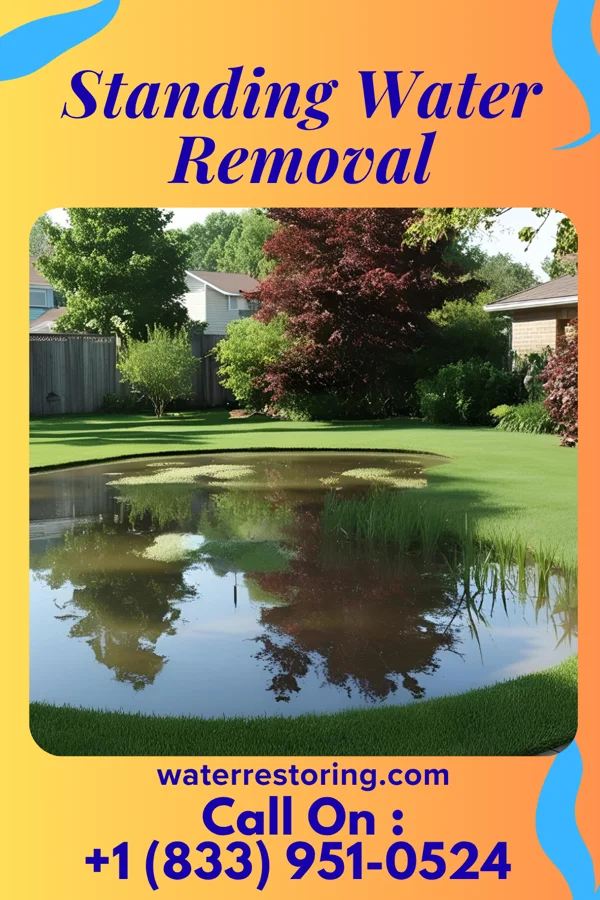 Standing Water Removal in Pittsville, WI